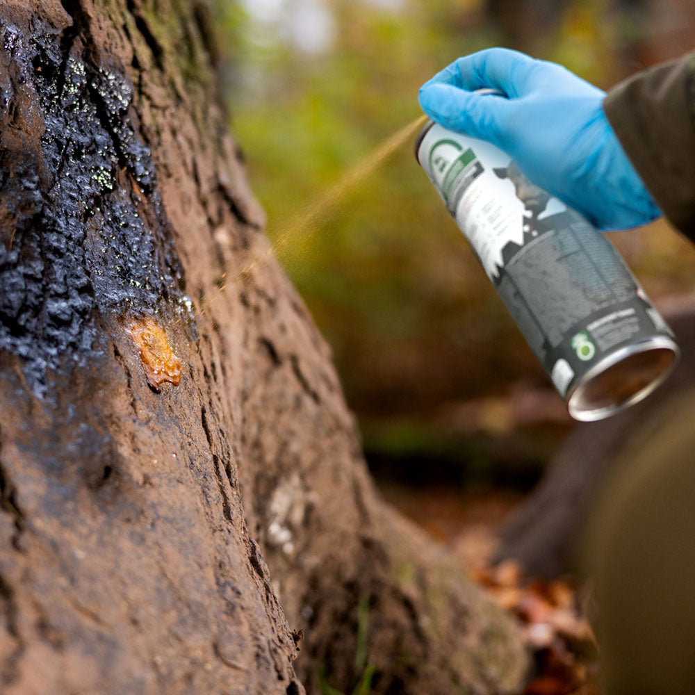 Buchenholzteer 500 ml Spraydose