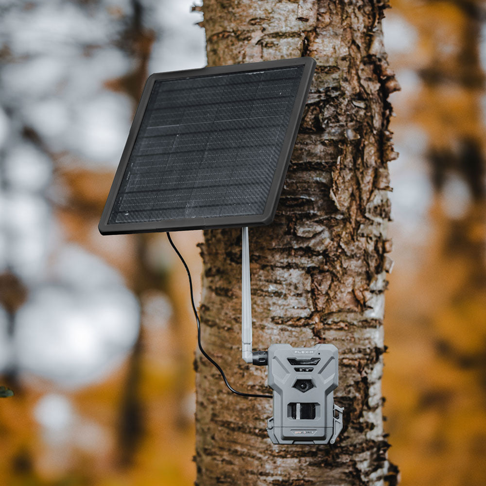 SpyPoint Flex-M & Solar-22