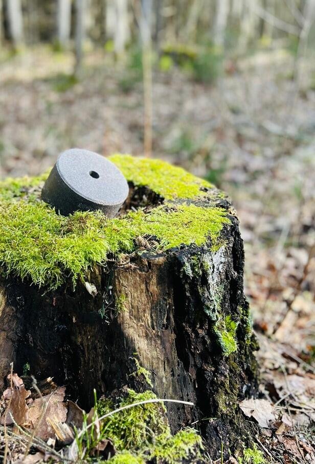 Wildlutscher Powerstein Schwarzwild | bindet, lockt und lenkt Wild